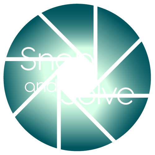SnapAndSolve Interview Solver Homework Solver